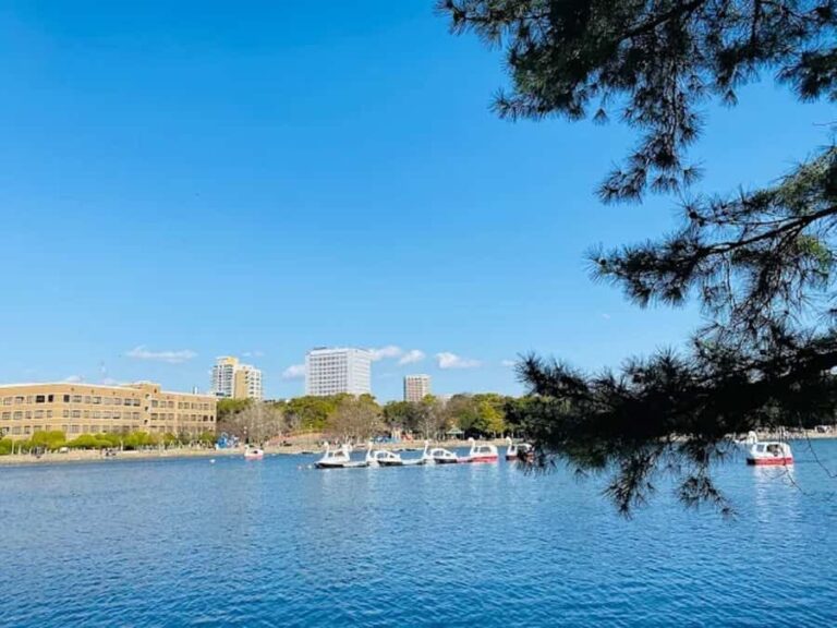 Fukuoka: Ohori Park and Amaguri Onsen Spa Day Tour - Practical Details and What to Keep in Mind