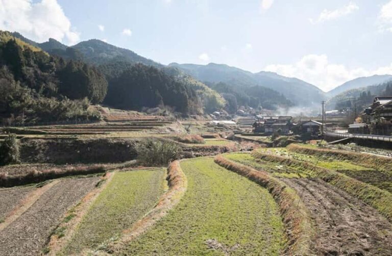 Fukuoka: Private Farm Experience with Lunch - Why This Tour Offers Great Value