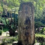 Fukuoka: Takachiho Gorge and Kumanoimasu Shrine Day Trip - Is This Tour Right for You?
