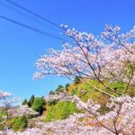 FukuokaDazaifu,Yufuin Village,Beppu Ropeway,Kamado Jigoku - Transportation, Timing, and Group Experience
