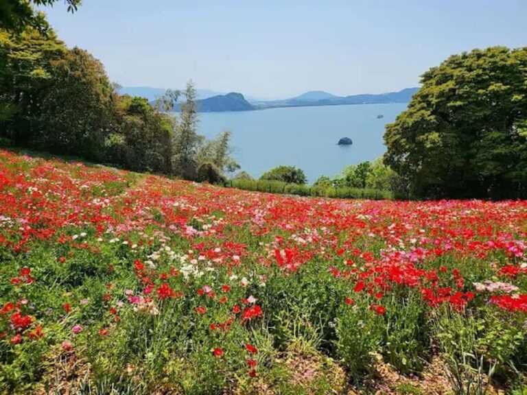 Fukuoka:Nokonoshima Island Day Trip with Tour Guide& Driver - Practicalities and Tips