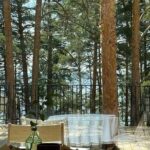 Full Astana Experience Sights Tickets and Local Food - Who Will Love This Tour?