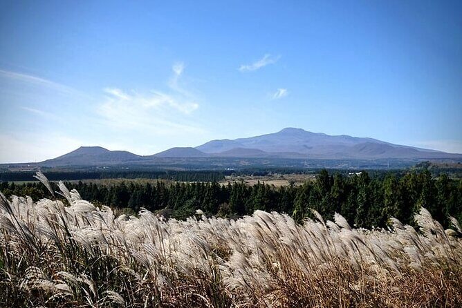 Full Day 12 hours whole Jeju Island private flexible tour - Deep Dive into the Itinerary