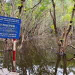 Full-Day Adventure: Trekking and Hiking in Cat Ba National Park - The Experience of the Guides and Other Travelers