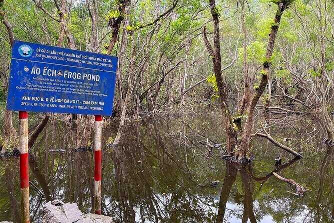 Full-Day Adventure: Trekking and Hiking in Cat Ba National Park - The Experience of the Guides and Other Travelers