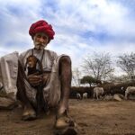 Full-Day Bishnoi Village Safari - Exploring the Itinerary in Detail