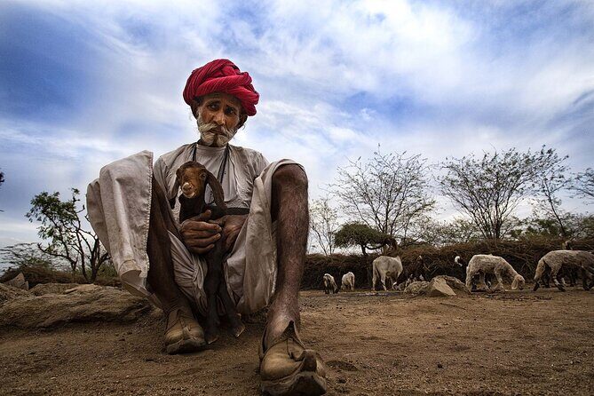 Full-Day Bishnoi Village Safari - Exploring the Itinerary in Detail