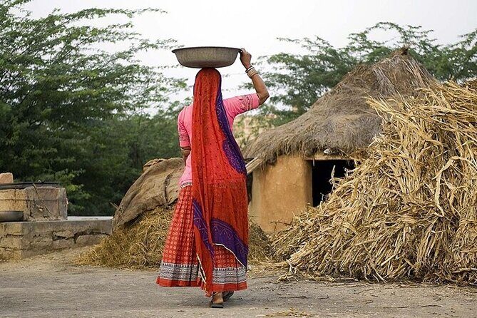 Full-Day Bishnoi Village Safari - Final Thoughts on the Value of the Bishnoi Village Safari