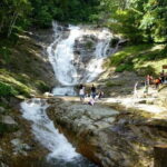 Full-day Cameron Highlands Tour - Final Thoughts: Is It for You?