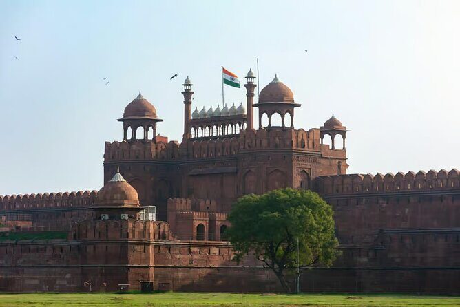 Full Day City Tour of Old and New Delhi - Cost & Value