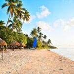 Full Day Cultural Island Tour with Lunch & Cruise - The Sum Up