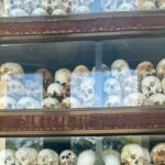 Full day Culture and Genocide History - Why This Tour Offers Great Value