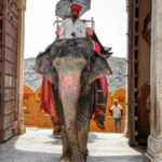 Full Day Delhi Siteseen Tour Including New Delhi & Old Delhi - Transport, Timing, and Practical Tips