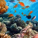 Full Day East Bali Tour - Who Should Consider This Tour?