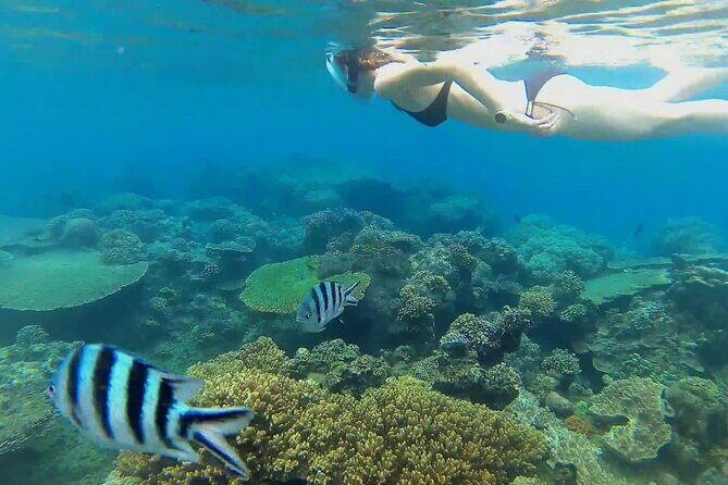 Full Day East Bali Tour - Visiting Tirta Gangga: A Royal Water Palace