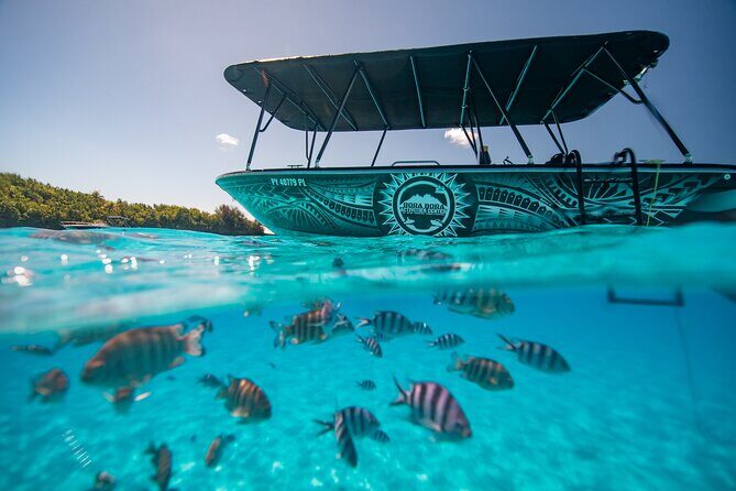 Full Day Eco Snorkeling & Traditional BBQ Lunch on a Motu - Why This Tour Offers Great Value