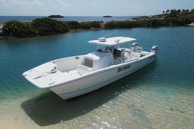 Full-Day Fishing Charter in East Coast, Puerto Rico - The Value of a Full-Day Fishing Adventure