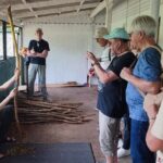 Full Day Galle Tour River Safari Turtles Gem Mine and Galle Fort - Practical Details and What to Expect