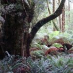 Full Day Great Ocean Road Private Guided Tour - Detailed Breakdown of the Itinerary