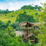 Full Day Guided Triple Adventure Combo From Punta Cana - What’s Included and What’s Not