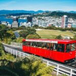 Full Day Guided Wellington Tour including guided tour at Te Papa - Transportation & Group Size