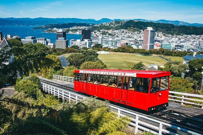 Full Day Guided Wellington Tour including guided tour at Te Papa - Transportation & Group Size