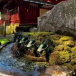 Full-Day Hakone Tour, With Mt. Fuji View & Sky Walk - In-Depth Look at Each Stop