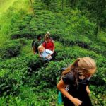 Full Day Hantana Pekoe Trail Hike from Kandy - Who Should Book This Tour?