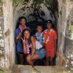 Full Day Island Tour with Hawaiian Leis theme - Who Will Love This Tour?