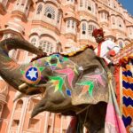 Full Day Jaipur Sightseeing Tour - Transportation and Practical Details
