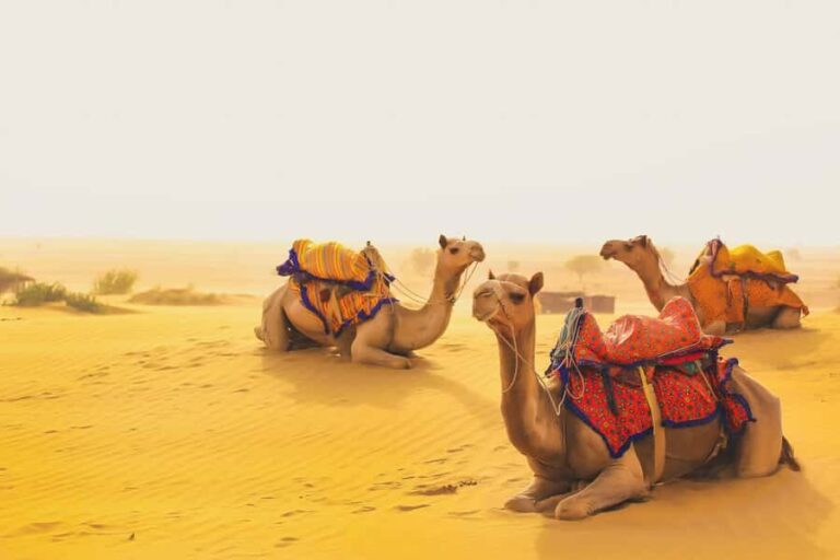 Full-Day Jaisalmer Desert Safari & City Tour with Camel Ride - Starting the day: Jaisalmer Fort