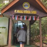 Full Day Kinabalu Park World Heritage Site - Final Thoughts