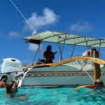 Full Day Lagoon experience with motu lunch - Who Is This Tour Best For?