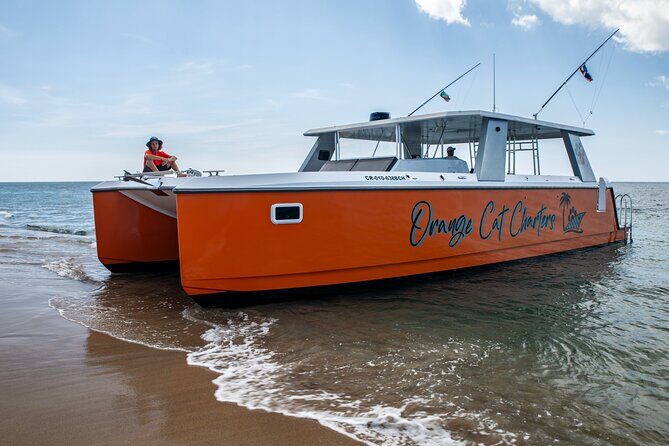 Full Day Luxury Snorkel Charter With Lunch (Minimum 10 Guests) - Final Thoughts