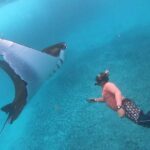 Full Day Nusa Penida Manta Point Snorkeling and West Island Tour - How the Tour Is Structured