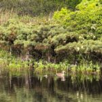 Full day Oirase Stream and Lake Towada Tour - Who Is This Tour Best For?