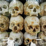 Full-Day Phnom Penh Private Tour (Tour start from Siem Reap) - An In-Depth Look at the Itinerary