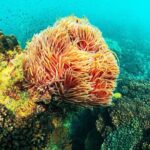 Full Day Phu Quoc Canoe and Cable Car Guided Tour - What’s Included and What’s Not