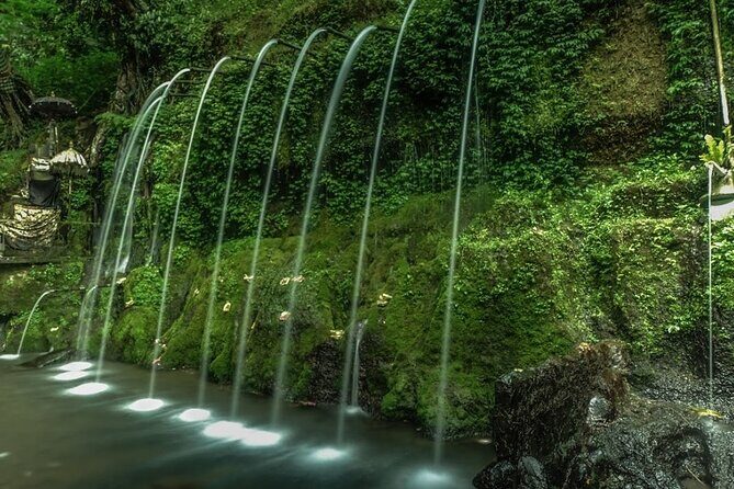 Full Day Private Bali Culinary Experience and Social Care Tour - Final Thoughts