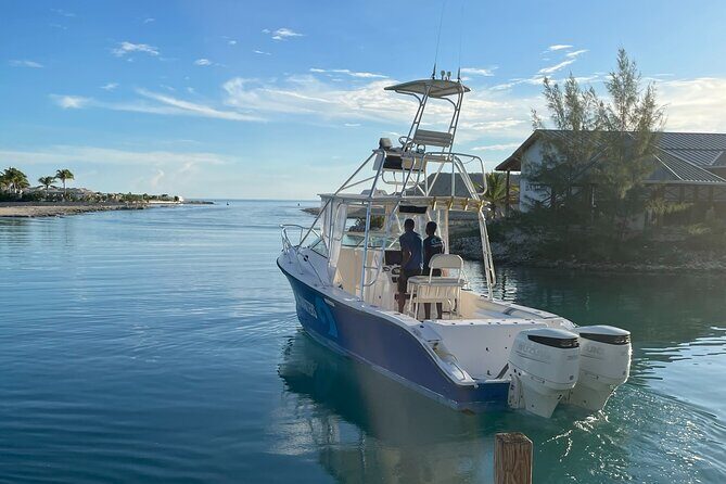 Full Day Private Charter Bottom Fishing Experience - The Experience from Reviews and Insights