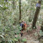 Full-Day Private Guided Hiking Tour of Ba Vi National Park - Practical Details & Tips