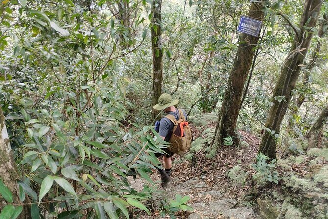 Full-Day Private Guided Hiking Tour of Ba Vi National Park - Practical Details & Tips  