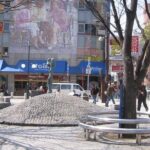 Full-Day Private Guided Tour to Kobe City - Transportation and Group Size