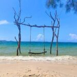 Full Day Private Journey to Northern Phu Quoc - Transportation and Comfort