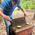 Full Day Private Land Tour North Phu Quoc Island - Final Thoughts