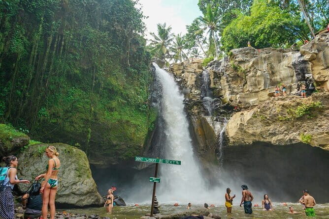 Full Day Private Tour All Inclusive Hidden Gems Bali Waterfall - Who Will Love This Tour?