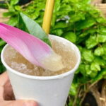 Full day Private tour in Hoi An - My Son with delicious lunch - An Overview of the Tour Experience