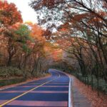 Full Day Private Tour in Jeju Scenic Central Coast - Who Should Consider This Tour?