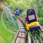 Full Day Private Tour To Da Lat From Nha Trang - Itinerary Breakdown: What You Can Expect