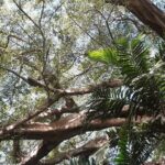 Full-Day Private Tour to Yakel Village, Waterfall and Mt Yasur Volcano - Lapilmai Waterfall: Refreshing Nature’s Power